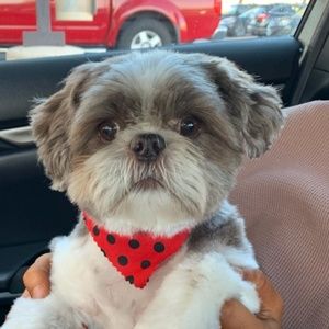 Meet your Posher, Mary lee